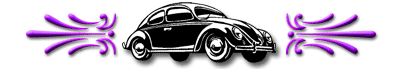 Old Bug